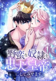 8b70878cdca31f6769b1d414b1f42fde